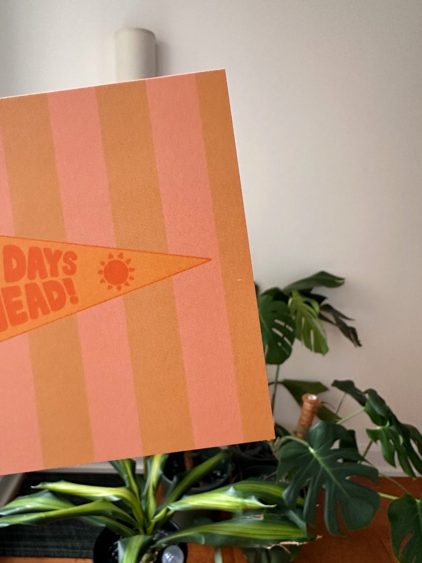 Sunny Days Postcard OOPSIE